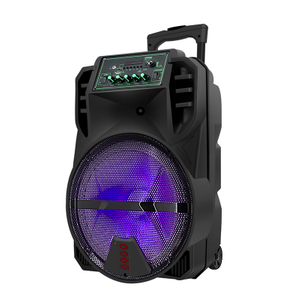 Altavoz de plástico de 100w para karaoke al aire libre 2022 con luz Led para carrito