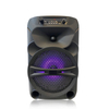 Altavoz inalámbrico de dos vías portátil con MIC de fábrica China QJ-T320
