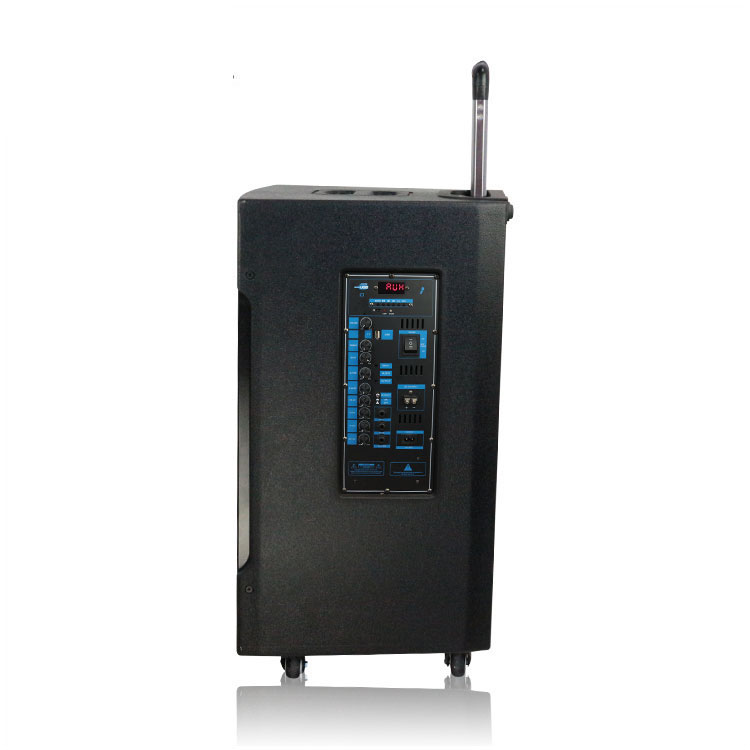 Sistema de audio de altavoces profesional altavoz de sonido al aire libre de frecuencia al aire libre