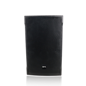Altavoz de audio de 12 pulgadas 300 vatios Pro para sala de reuniones y escenario
