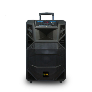 Bluetooth Karaoke de 250W Altavoz de bajos recargables de 18 pulgadas