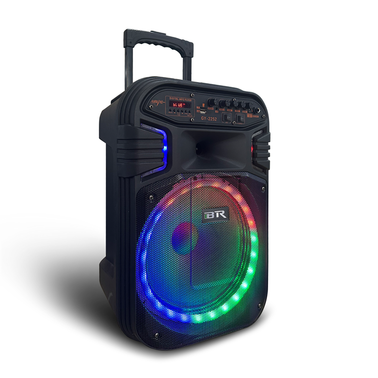 12 "Woofer de luz LED al aire libre RGB Luces Bluetooth Trolley Speaker QJ-1029